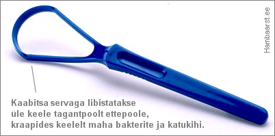 keelekaabits