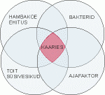 Hambakaariese tekkepõhjused