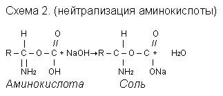 Механизм действия гипохлорита Na