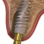 pilt