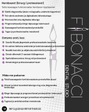 Fibonacci dental studio otsib hambaarsti