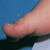 pilt