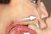 pilt