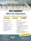 Virudent otsib hambaarsti
