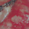 pilt pilt
